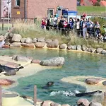 Buschsand Lee Comfortable Friedrichskoog-Spitz