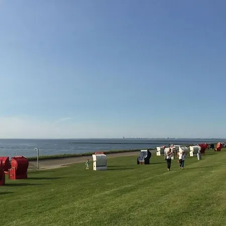 Buschsand Lee Comfortable *