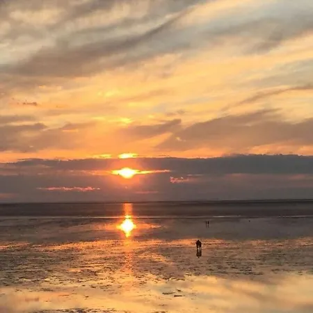 Buschsand Lee Comfortable *