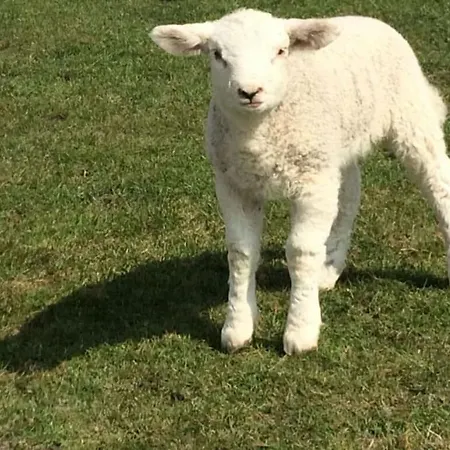 Buschsand Lee Comfortable Casa de Férias