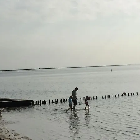 Buschsand Lee Comfortable *