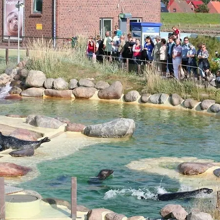 Buschsand Lee Comfortable Friedrichskoog-Spitz