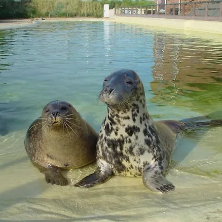 Buschsand Lee Comfortable Casa de Férias