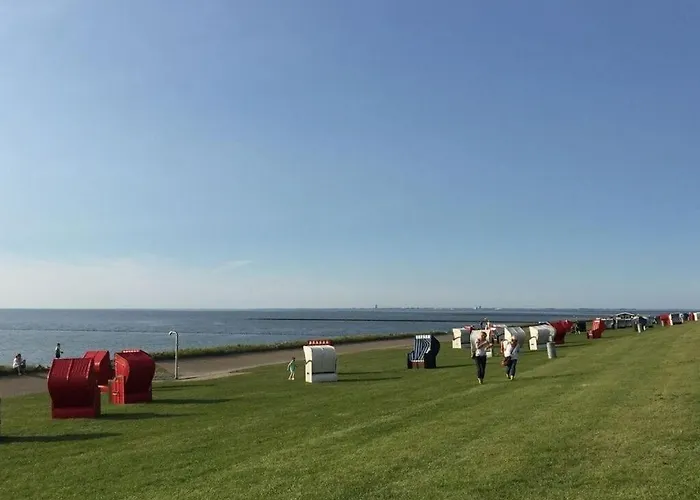 Buschsand Lee Comfortable *