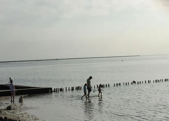 Buschsand Lee Comfortable *