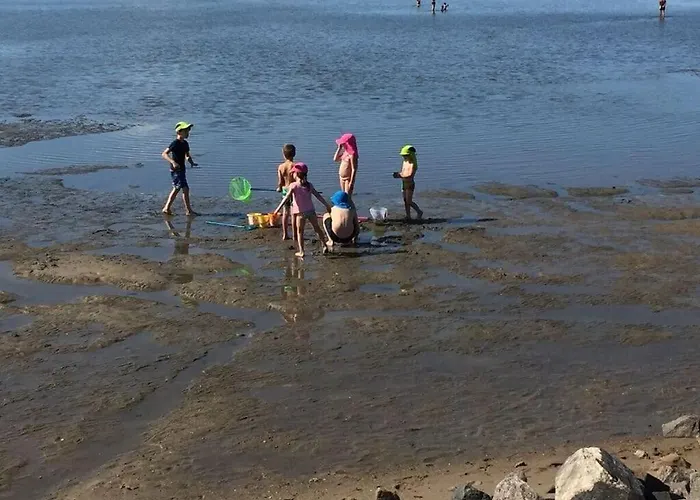 Vakantiehuis Buschsand Lee Comfortable Friedrichskoog-Spitz