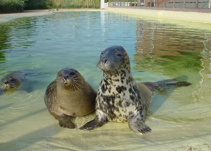 Buschsand Lee Comfortable Vakantiehuis